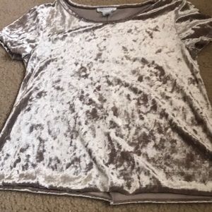 Brownish Silky T-Shirt